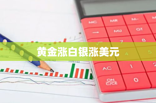 黄金涨白银涨美元