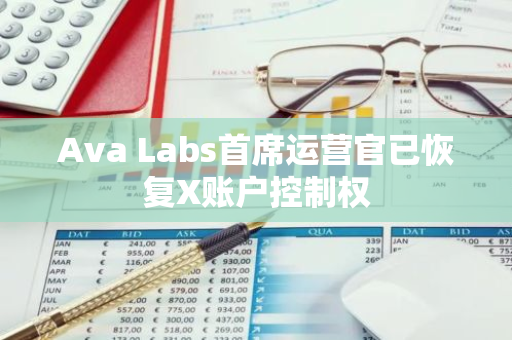 Ava Labs首席运营官已恢复X账户控制权