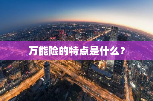 万能险的特点是什么？