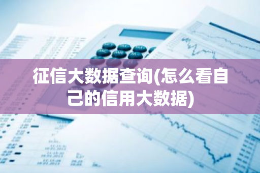 征信大数据查询(怎么看自己的信用大数据)