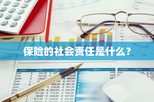 保险的社会责任是什么？