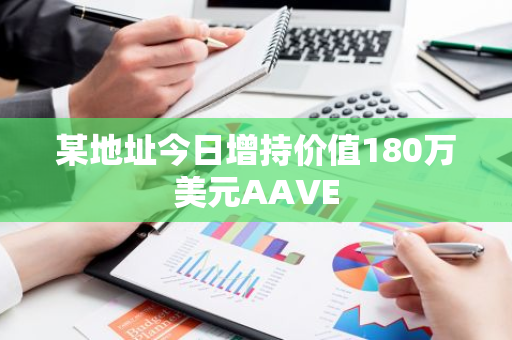 某地址今日增持价值180万美元AAVE