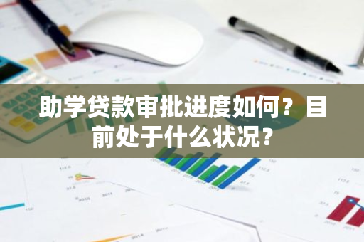 助学贷款审批进度如何？目前处于什么状况？