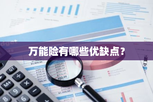 万能险有哪些优缺点？