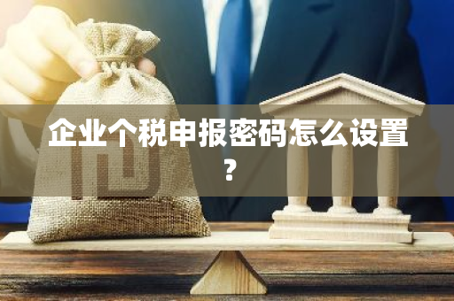 企业个税申报密码怎么设置？