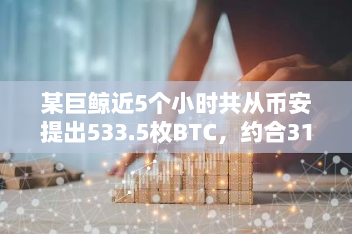 某巨鲸近5个小时共从币安提出533.5枚BTC，约合3107万美元