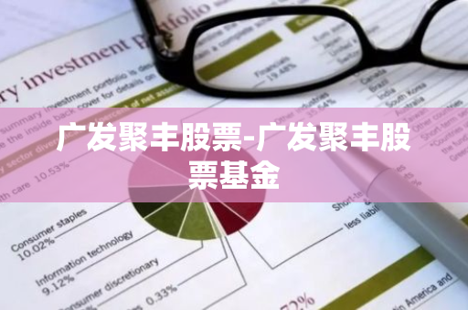 广发聚丰股票-广发聚丰股票基金