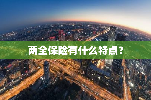 两全保险有什么特点？