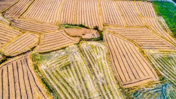 农村土地承包权能否继承