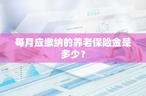 每月应缴纳的养老保险金是多少？