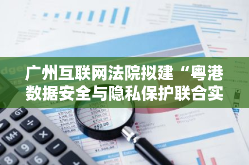 广州互联网法院拟建“粤港数据安全与隐私保护联合实验室”，将开展区块链AI研究