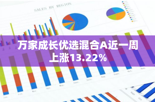 万家成长优选混合A近一周上涨13.22%