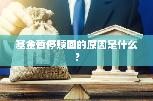 基金暂停赎回的原因是什么？