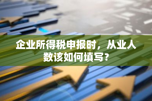 企业所得税申报时，从业人数该如何填写？