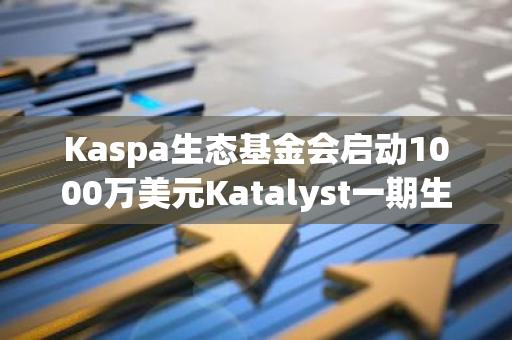 Kaspa生态基金会启动1000万美元Katalyst一期生态发展计划