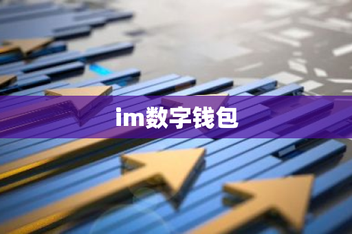 im数字钱包