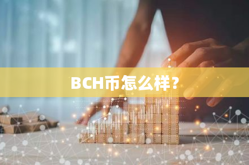 BCH币怎么样？