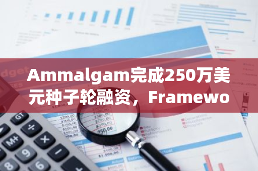 Ammalgam完成250万美元种子轮融资，Framework Ventures等领投