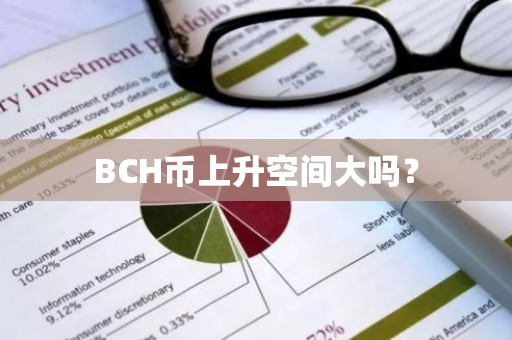 BCH币上升空间大吗？