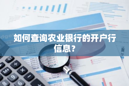 如何查询农业银行的开户行信息？