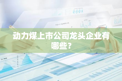 动力煤上市公司龙头企业有哪些？