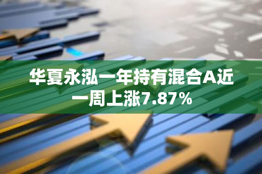 华夏永泓一年持有混合A近一周上涨7.87%