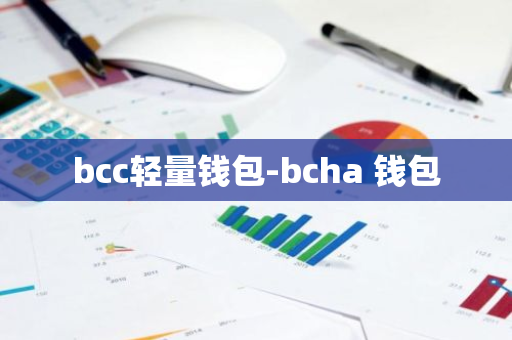 bcc轻量钱包-bcha 钱包