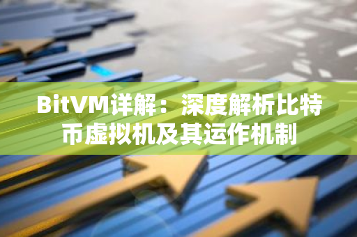 BitVM详解：深度解析比特币虚拟机及其运作机制