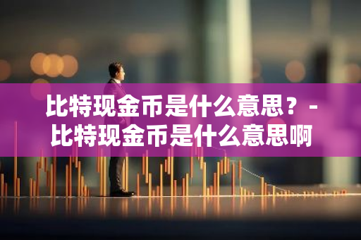 比特现金币是什么意思？-比特现金币是什么意思啊