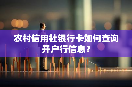 农村信用社银行卡如何查询开户行信息？