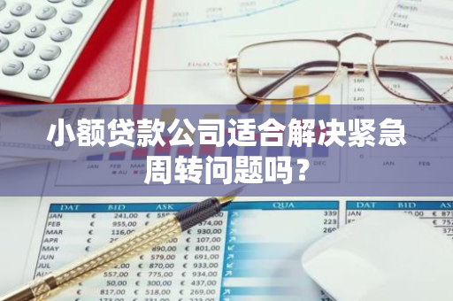 小额贷款公司适合解决紧急周转问题吗？