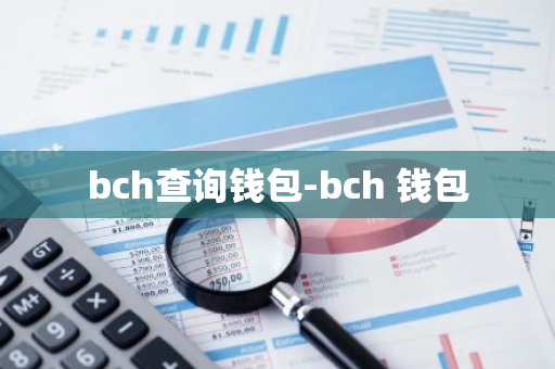 bch查询钱包-bch 钱包