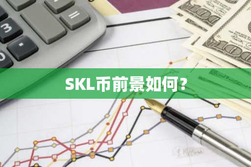 SKL币前景如何？