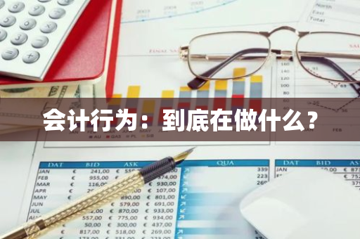 会计行为：到底在做什么？