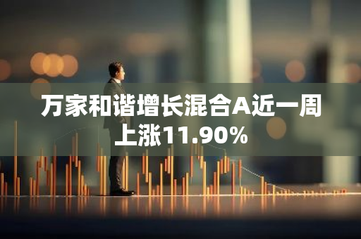 万家和谐增长混合A近一周上涨11.90%