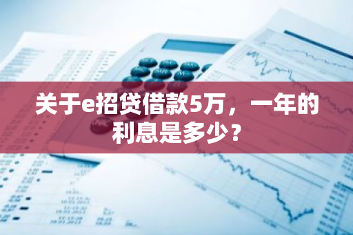 关于e招贷借款5万，一年的利息是多少？