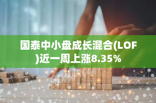 国泰中小盘成长混合(LOF)近一周上涨8.35%