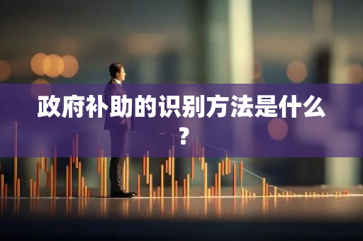 政府补助的识别方法是什么？