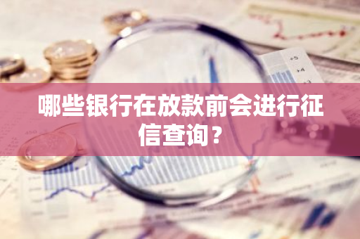 哪些银行在放款前会进行征信查询？