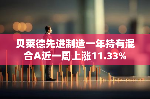 贝莱德先进制造一年持有混合A近一周上涨11.33%