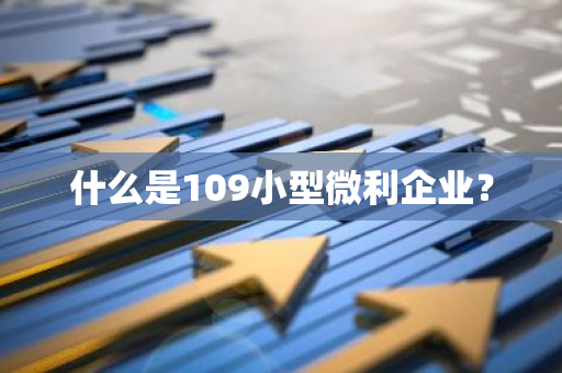 什么是109小型微利企业？