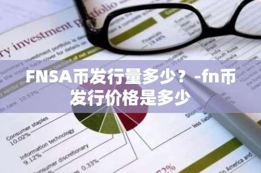 FNSA币发行量多少？-fn币发行价格是多少