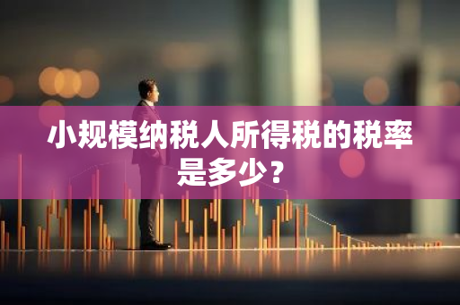 小规模纳税人所得税的税率是多少？