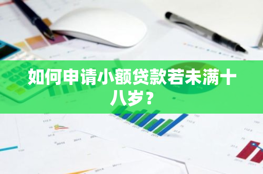 如何申请小额贷款若未满十八岁？