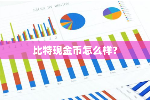 比特现金币怎么样？