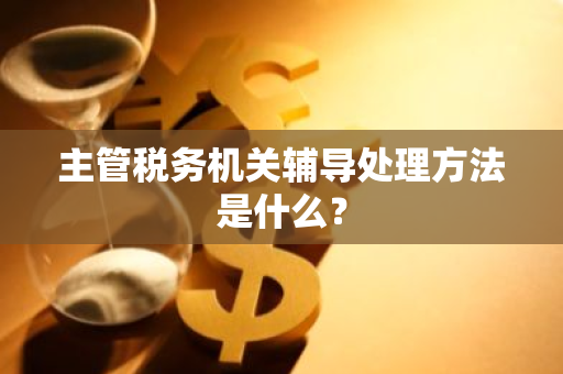 主管税务机关辅导处理方法是什么？