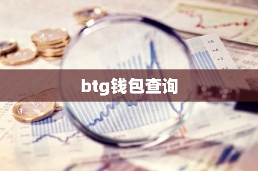 btg钱包查询