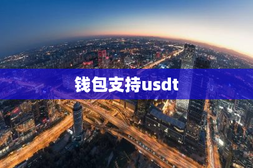 钱包支持usdt