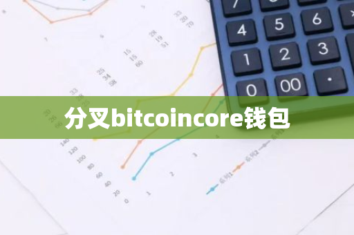 分叉bitcoincore钱包