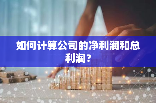 如何计算公司的净利润和总利润？